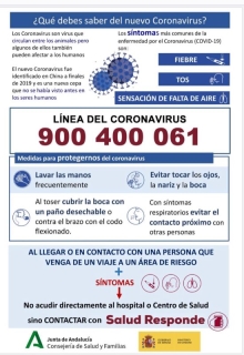 Páginas de interés sobre Coronavirus COVID-19.     Como lavarnos las manos (Foto galería)